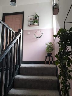 stairs leading up to a pink wall and potted plants