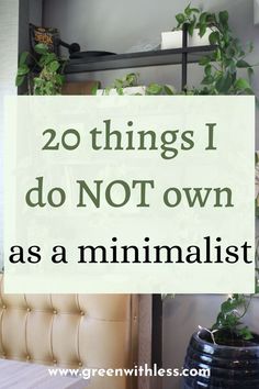 the words 20 things i do not own as a minimalist