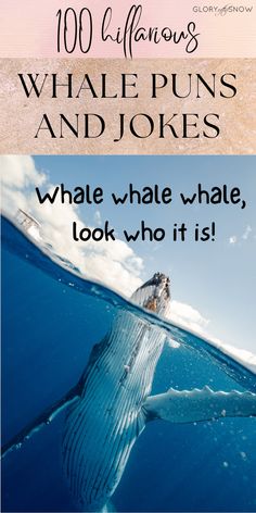 the words whale puns and jokes are in front of an image of a person swimming