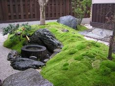 a small garden with moss growing on the rocks