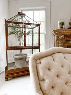 a living room filled with furniture and a potted plant in a glass case on top of a wooden stand