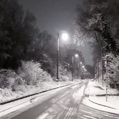 an empty street with snow on the ground and trees in the background at night time