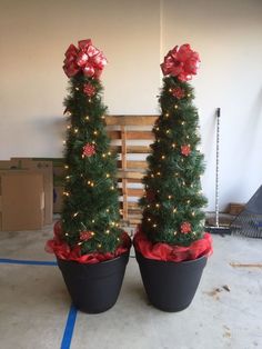 two potted christmas trees with bows on them