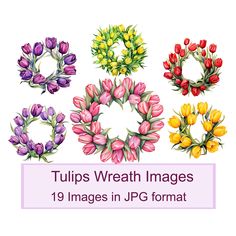 tulips wreath images are displayed in different colors and sizes, with the text tulips wreath images