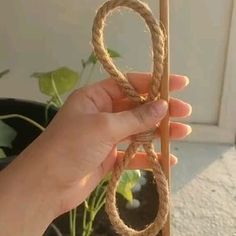 a hand holding a piece of rope in front of a potted plant