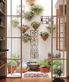 an open door leading into a room with potted plants on the wall and windows