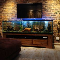 a living room with an aquarium and couch