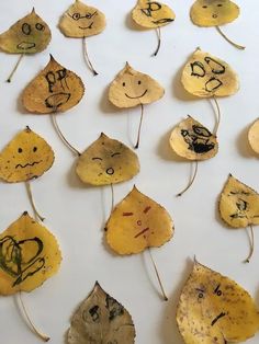 several leaves with faces drawn on them are arranged in the shape of letters and numbers