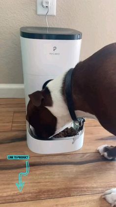 a brown and white dog eating out of a food dispenser on the floor