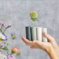 a person holding four vases with flowers in them and one flower sticking out of it