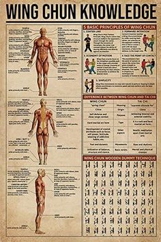 an old poster shows the muscles and their functions in chinese medicine, with instructions on how to