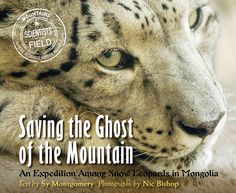 the front cover of saving the ghost of the mountain an explanatory journey with six snow leopards