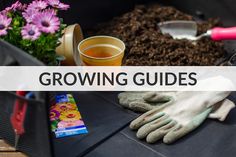 gardening tools and flowers in a container with the words growing guides above it on top