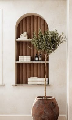 a potted plant sitting on top of a wooden shelf