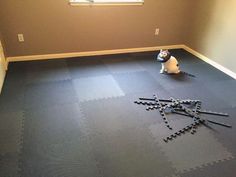 a cat sitting on the floor in an empty room with some sticks sticking out of it