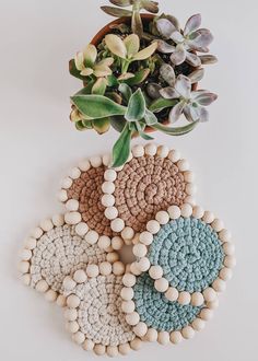 three crocheted coasters with succulent plants in the middle on a white surface