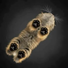 a cat paw with the caption that reads, stay pawsitive and be awesome