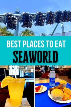 the best places to eat at seaworld in florida