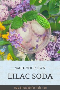 lilac soda in a glass with green leaves and purple flowers on the side text reads make your own lilac soda