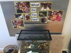 a fish tank sitting on top of a wooden table next to a wall with pictures