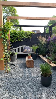 an outdoor garden with plants and rocks