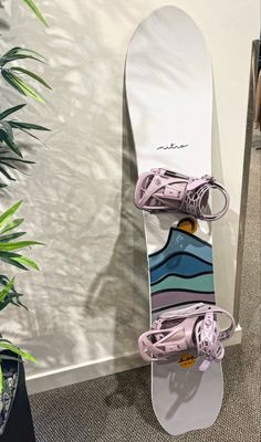 a snowboard is propped up against a wall with shoes on it and plants in the background