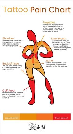 the anatomy of a man's body and its major parts, including his muscles