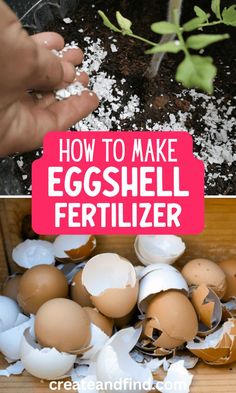 Using eggshells for plants: eggshell fertilizer and eggshell water. Vegetable Garden Diy, Backyard Vegetable Gardens, Garden Compost, Smart Garden, Fertilizer For Plants