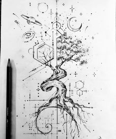 a pencil drawing of a tree and its roots