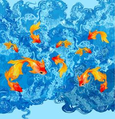 four goldfish swimming in the blue water