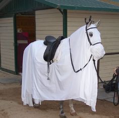 a man and woman standing next to a white horse covered in a sheet on the side of a building