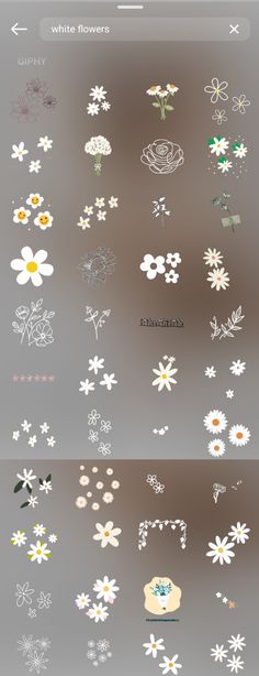 flowers are shown on the screen in different colors and sizes, as well as numbers