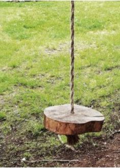 a tree stump swing in the middle of a grassy field with a rope hanging from it