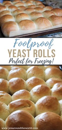 the best yeast roll recipe is easy to make and freeze it's so delicious