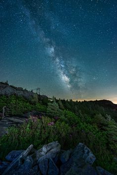 the night sky is filled with stars above some rocks and plants on top of a hill