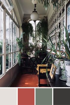 a room filled with lots of potted plants in front of large windows covered in shades of gray and red