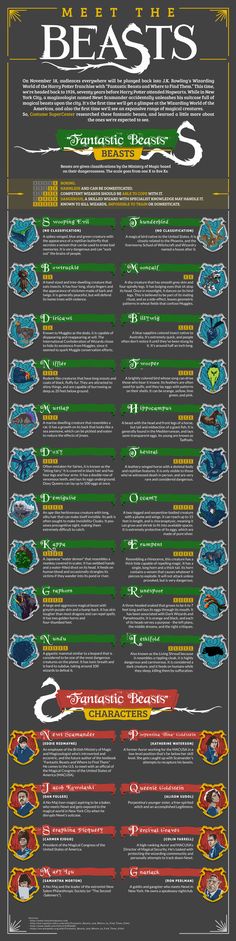 an info sheet with different types of boats