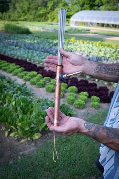 a man holding an umbrella in his hand near some vegetables and plants on the ground