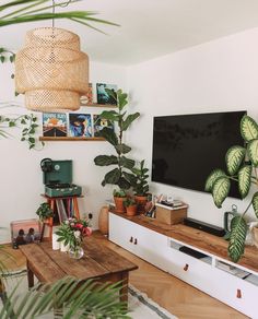 a living room with plants and pictures on the wall above the flat screen tv in the corner