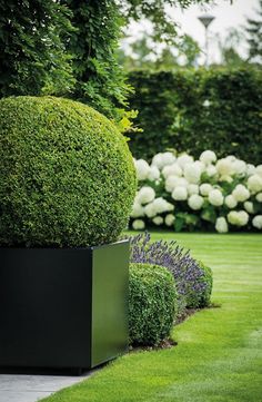 a large box planter sitting on top of a lush green field