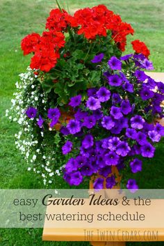 a potted plant with purple and red flowers on a bench in the grass next to some white and pink flowers