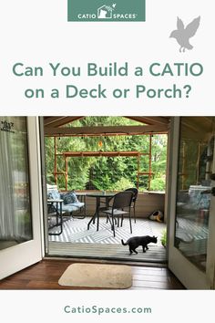 a cat standing in front of an open patio door with the caption can you build a catio on a deck or porch?