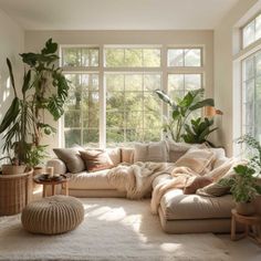 a living room filled with lots of furniture and plants on top of windowsills