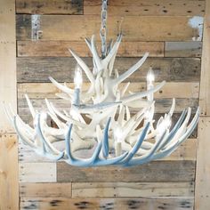 Whitetail 15 White Antler Chandelier White Antler Chandelier, Lodge Lighting, Antler Ideas, Grand Entryway, Antler Chandelier, Cabin Lighting, Small Chandelier, White Chandelier, Rustic Chandelier