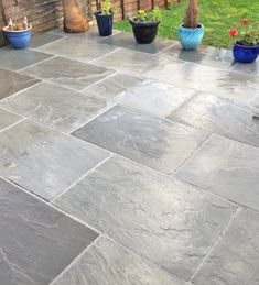 several potted plants are sitting on the patio