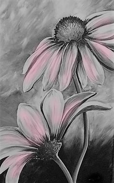 a drawing of two flowers on a black and white background, with pink petals in the foreground