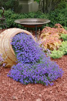 purple flowers growing out of the ground next to a wooden barrel