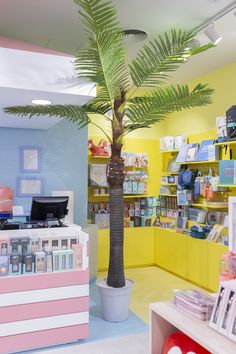 there is a palm tree in the store