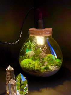 a light that is inside of a glass bowl with plants in it and some rocks on the ground