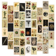 a collage of pictures with different types of flowers and plants on them, all arranged in the shape of a heart